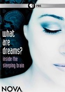 What Are Dreams?