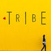 Tribe: Practical Tips for Day to Day Happiness Podcast