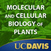 Molecular and Cellular Biology of Plants