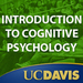 Introduction to Cognitive Psychology