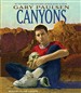 Canyons