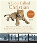 A Lion Called Christian