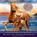 Misty of Chincoteague