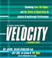 Velocity: A Business Novel