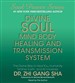 Divine Soul Mind Body Healing and Transmission System