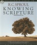 Knowing Scripture