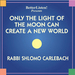 Only the Light of the Moon Can Create a New World