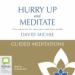 Hurry Up and Meditate: Guided Meditations