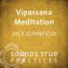 Vipassana Meditation: Mindfulness and Lovingkindness