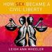 How Sex Became a Civil Liberty