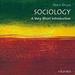 Sociology: A Very Short Introduction