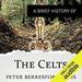 A Brief History of the Celts