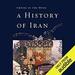 A History of Iran: Empire of the Mind