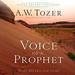 Voice of a Prophet: Who Speaks for God?