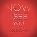Now I See You