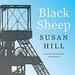 Black Sheep
