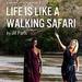 Life Is Like a Walking Safari