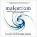 Malestrom: Manhood Swept into the Currents of a Changing World