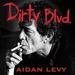 Dirty Blvd.: The Life and Music of Lou Reed