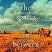 The Spaces in Between