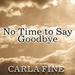 No Time to Say Goodbye