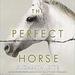 The Perfect Horse