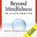 Beyond Mindfulness in Plain English