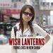 Wish Lanterns: Young Lives in New China