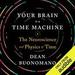 Your Brain Is a Time Machine