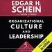 Organizational Culture and Leadership, Fifth Edition