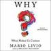 Why?: What Makes Us Curious