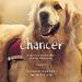 Chancer: How One Good Boy Saved Another