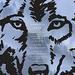 American Wolf