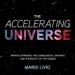 The Accelerating Universe