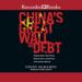 China's Great Wall of Debt