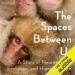 The Spaces Between Us