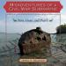 Misadventures of a Civil War Submarine