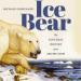 Ice Bear: The Cultural History of an Arctic Icon