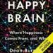 Happy Brain: Where Happiness Comes From, and Why