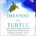 Dreaming in Turtle