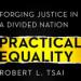 Practical Equality: Forging Justice in a Divided Nation