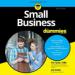 Small Business for Dummies