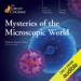 Mysteries of the Microscopic World