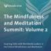 The Mindfulness and Meditation Summit: Volume 2