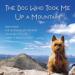 The Dog Who Took Me Up a Mountain
