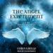 The Angel Experiment