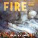 Fire: A Brief History