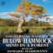 Bulow Hammock: Mind in a Forest