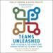 Teams Unleashed