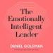 The Emotionally Intelligent Leader